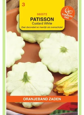 Zdjęcie produktu dla Oranjeband Patisson Custard White - 1 opakowanie nasion