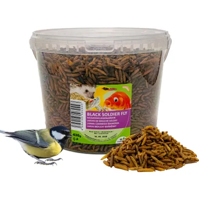 Produktbild von UGF Soldatenfliegenlarven 430g (3L), BSFL Vogelhauptfutter für Wildvögel, Schildkröten, Ratten,Igel, Hamster, Hermetia mit mehr Kalzium als Mehlwürmer