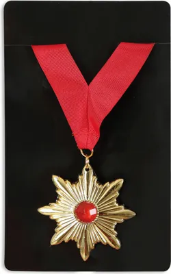 Produktbild von Halskette Kette Medaille Dracula Vampir Horror Halloween Karneval Fasching Party
