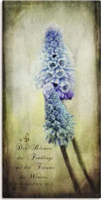 Produktbild von ARTland Leinwandbild Der Frühling kommt Größe: 20x40 cm