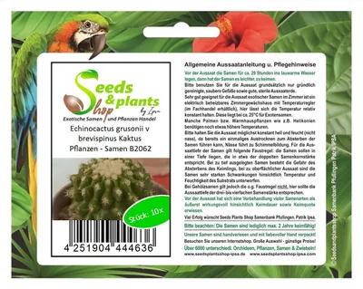 Produktbild von 10x Echinocactus grusonii v brevispinus Kaktus Pflanzen - Samen B2062