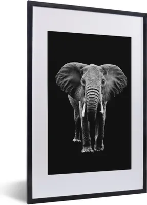 Produktbild von MuchoWow® Gerahmtes Poster Elefant mit großen Ohren vor schwarzem Hintergrund - schwarz und weiß 40x60 cm - Poster mit Schwarzem Bilderrahmen Wandposter Rahmen Foto Bilder - Poster in Rahmen