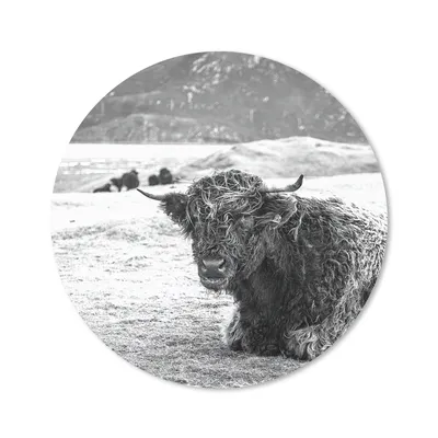 Produktbild von MuchoWow® Mauspad Mousepad Schottischer Highlander - Berg - Tiere 30x30 cm - Mousepads - Maus Mat - Pad - Mausunterlage - Tischunterlage - Schreibtischmatten