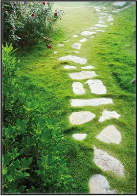 Produktbild von Wallario Wandbild Steinweg im Grünen, Größe: 70,30 x 100,30 cm, Poster mit schwarzem Aluminiumrahmen