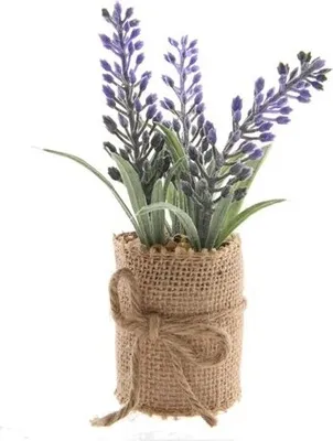 Produktbild von Künstliche Pflanze Lavendel H12cm