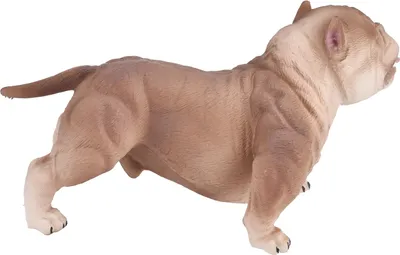 Obrázok produktu pre Buldog Simulačný model Vzdelávacia dekorácia Psí model Figúrka Kolekcia ToyPL127-1050