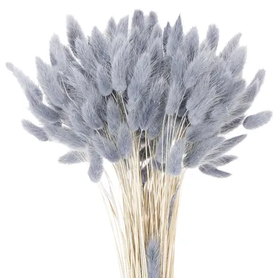 Produktbild von Hasenschwanzgras Trockenblumen für Dekoration und Floristik