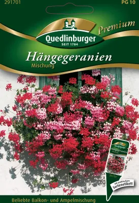 Produktbild von Quedlinburger Saatgut - Hänge-Geranien Mischung - Samen - 291701