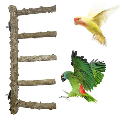 Immagine prodotto di Set di 3 posatoi naturali e scale in legno per uccelli, realizzati in legno di vite e legno di pepe, atossici