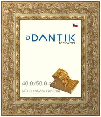 Obrázek produktu pro DANTIK rámeček 40x50 | KŘÍDLO zdobné zlaté (Plexi Čiré)