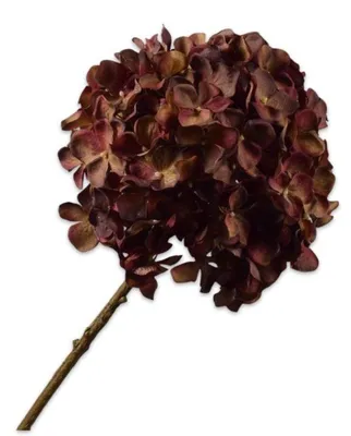 Produktbild von Silk-ka Kunstblume – Seidenblumen-Hortensienstiel, rotbraun, 70 cm