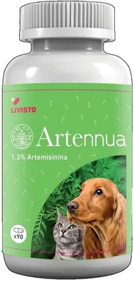 Produktbild von ARTENNUA, 90 Kapseln