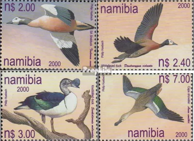 Produktbild von Briefmarken Namibia - Südwestafrika 2000 Mi 1005-1008 (kompl.Ausg.) postfrisch Einheimische Entenvögel