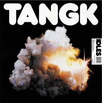 Zdjęcie produktu dla Idles - Tangk (Limited Edition) (Pink Translucent Coloured) (LP)