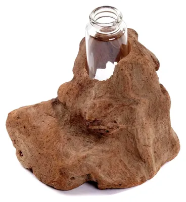 Produktbild von VASE Yuma | Treibholz, 13x11cm (HxB) | Holz Blumen Vase mit Glasvase, Wurzelholz, Dekovase, Tischdeko