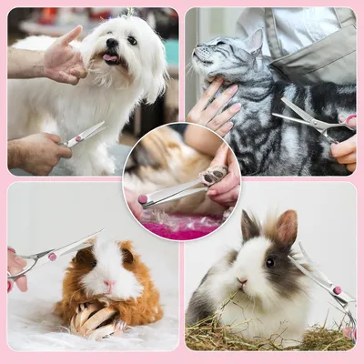 Image de Ciseaux professionnels pour chiens en acier inoxydable 6 en 1 Ciseaux à effiler - Ciseaux Bont 75 pouces ciseaux courbes peigne