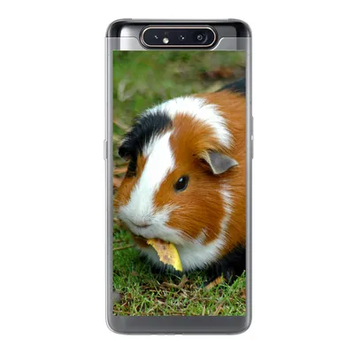 Produktbild von MuchoWow® Handyhülle Schutzhülle Hülle für Samsung Galaxy A80 Meerschweinchen draußen Silikon Softcase Handy Hülle - Schutzdeckel