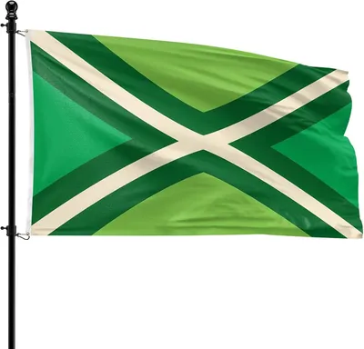 Imagen del producto de Banderina de la región de Achterhoek, 90 x 150 cm, de poliéster, para asta de bandera