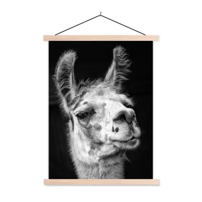 Produktbild von MuchoWow® Textilposter Alpaka auf schwarzem Hintergrund 60x80 cm mit holzfarbenen Rahmen - Wandbild