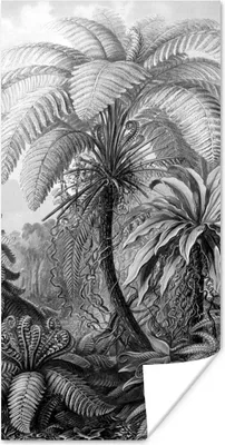 Produktbild von MuchoWow® Poster Pflanzen - Schwarz und weiß - Design - Illustration - Botanisch 40x80 cm - Dekoration