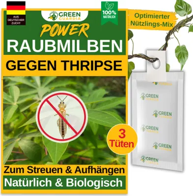 Produktbild von Power Raubmilben gegen Thripse, 3 Tüten, Biologisches Mittel zur effektiven Thripse Bekämpfung &  Spinnmilben Bekämpfung – GREEN GUARDIA