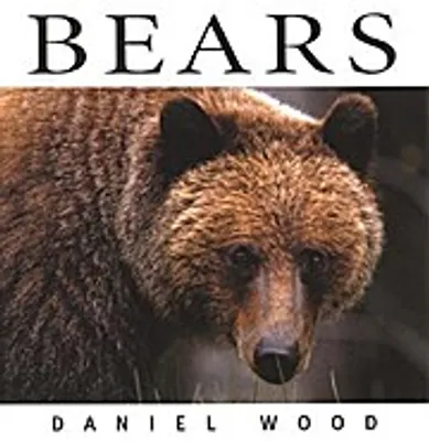 Zdjęcie produktu dla Bears