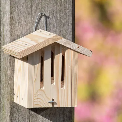 Produktbild von CJ Wildlife Insektenhotel Bausatz Kinder - Dana Schmetterlingshaus - Holz ( 100%) - zum Aufhängen - braun - inkl. Nägel Schrauben Haken Anleitung