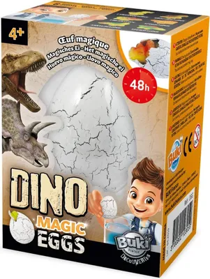 Obrázok produktu pre Buki Dino Oeuf Magique, Detská animačná súprava, 4 rok / roky, Viacfarebný
