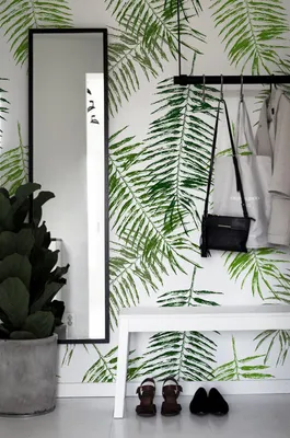 Produktbild von Coloray Fototapete 360x250 cm Vlies-Fototapete - Palm blättert floral.