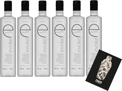 Produktbild von Evoke 6er Set London Dry Gin 6x 0,7L (40% Vol) Der 5 fach destillierte Gin mit Aromen von Wacholderbeeren und ausgewählten Botanicals - [Enthält Sulfite]