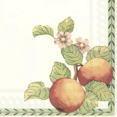 Immagine prodotto di Tovaglioli 33x33 cm - NEW FRENCH GARDEN (V&B)