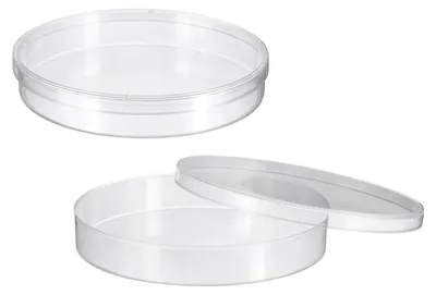 Petrischalen Kunststoff 120mm rund transparent 2 Stück