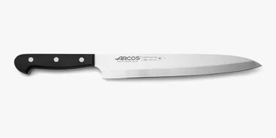 Immagine prodotto di Coltello Yanagiba Arcos Universal 289904 in acciaio al nitro, con mango in poliossimetilene e lama da 24 cm in astuccio