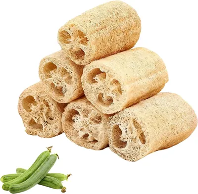Imagen del producto de Esponjas de lufa, paquete de 6 unidades, 10 cm de diámetro, 100% naturales, para el cuidado corporal