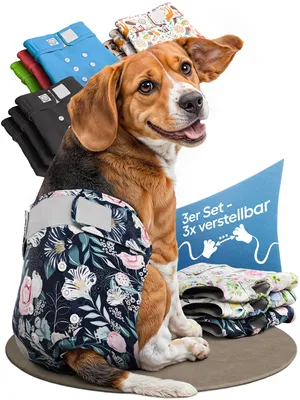Produktbild von HUND IST KÖNIG Windeln für Hündinnen [3 Stk], S (Taille 29-40 cm), saugstarke Windeln, 3-Fach justierbar für festen Sitz bei Läufigkeit & Inkontinenz