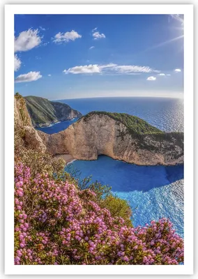 Produktbild von Poster - Poster ohne Rahmen - Meer Sommer Blume - 70x100 cm - Wand Bild - Wanddeko - Wandbilder - Kunstposter - Wandposter - Bilder - Kunstdruck - Wanddekoration - Wandbild - P2XPA70x100-3741