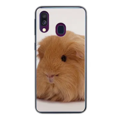 Produktbild von MuchoWow® Handyhülle Schutzhülle Hülle für Samsung Galaxy A40 Sheltie-Meerschweinchen Silikon Softcase Handy Hülle - Handy-Tasche