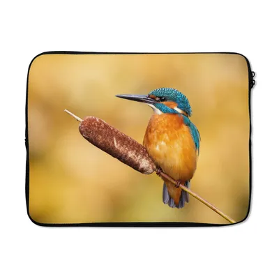 Produktbild von MuchoWow® Laptop Hülle 15 Zoll Eisvogel - Natur - Vogel Laptoptasche - Laptoptasche - Sleeve - Rundum-Schutz