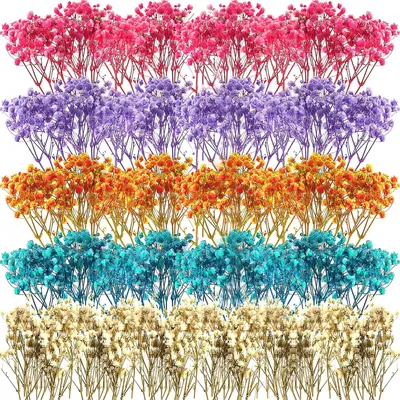 Produktbild von Getrocknete Gypsophila Blumen, 100 Stück, 5 Farben, für DIY Projekte