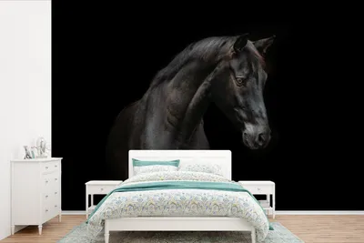 Produktbild von MuchoWow® Fototapete für Wohnzimmer oder Schlafzimmer Wandtapete Vinyl Motivtapete Pferd - Tiere - Schwarz - Porträt - 450x300 cm - Gemusterte