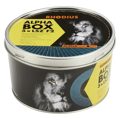 Zdjęcie produktu dla Rhodius 209317 LSZ F2 BOX Flap disc Diameter 125 mm Bore diameter 22.23 mm 5 pc(s)