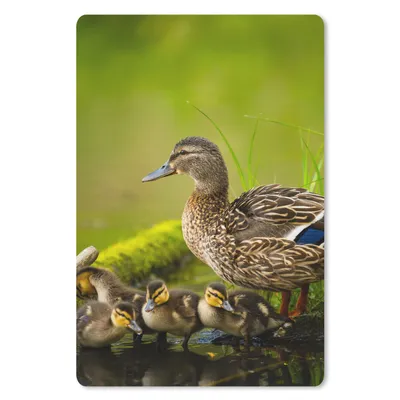 Produktbild von MuchoWow® Mauspad Mousepad Ente - Vögel - Wasser - Zweig - Moos 40x60 cm - Mousepads - Maus Mat - Pad - Mausunterlage - Schreibtisch Accesoire