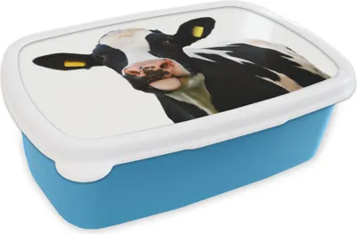 Produktbild von KitchenYeah® Lunchbox Brotzeit Brotdose 17x11 cm Kuh - Schwarz - Weiß Kinder Brotzeitdose - Lunch - Kunststoff  - Brotbüchse - Sandwichbox - Lunchbox für Kinder