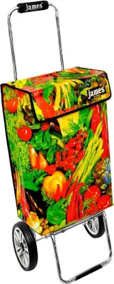 Produktbild von James Einkaufstrolley - VEGGIE - stabiler Einkaufswagen mit individuellem Design - einfarbig: grün in Ausführung: Chrome19