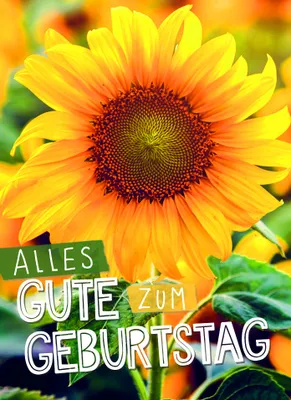Produktbild von Geburtstag - Klammerkarten - Minikarten  Glückwunschkarte im Format
