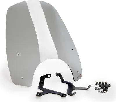Productafbeelding van Windscherm PUIG, type "Naked touring", licht getint, goedgekeurd (ABE) voor Honda
