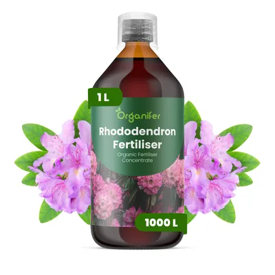 Obrázek produktu pro Rododendron Tekuté Hnojivo 1 L – 2-1-8 NPK – Pro Rododendróny – Podporuje Bujné Květy & Zdravý Růst – Organifer