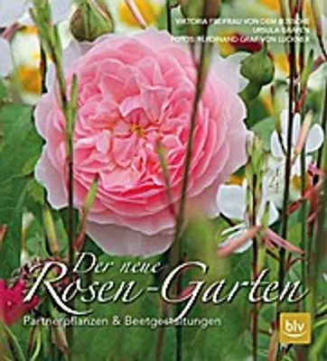 Produktbild von Der neue Rosen-Garten