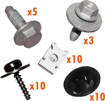 A collection of automotive fasteners, including bolts, clips, and washers, arranged on a white background.