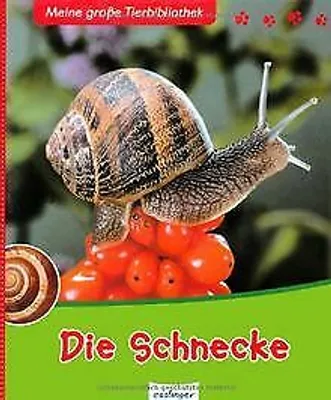 Zdjęcie produktu dla Die Schnecke
